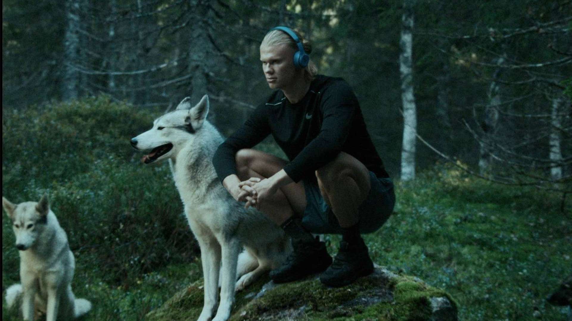 表現成為了 表現成為了